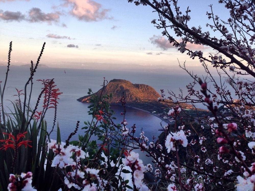 Villa La Rosa Pecorini エクステリア 写真